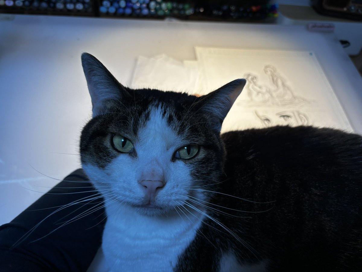 篠原千絵 tweet media