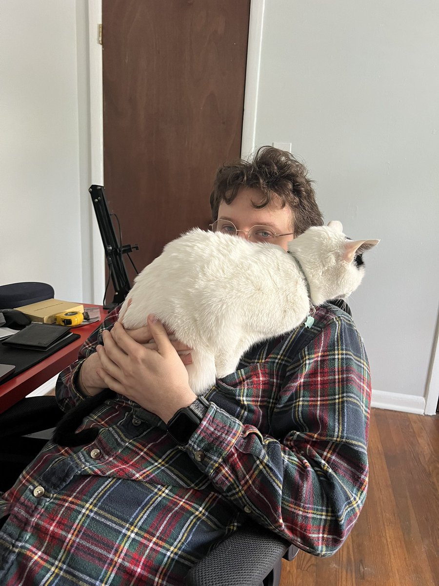 ️️ 🫗 tweet media