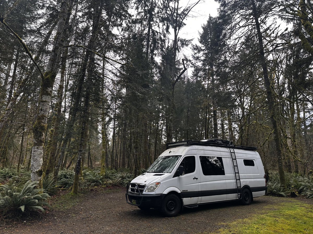 Joey Kudish tweet media