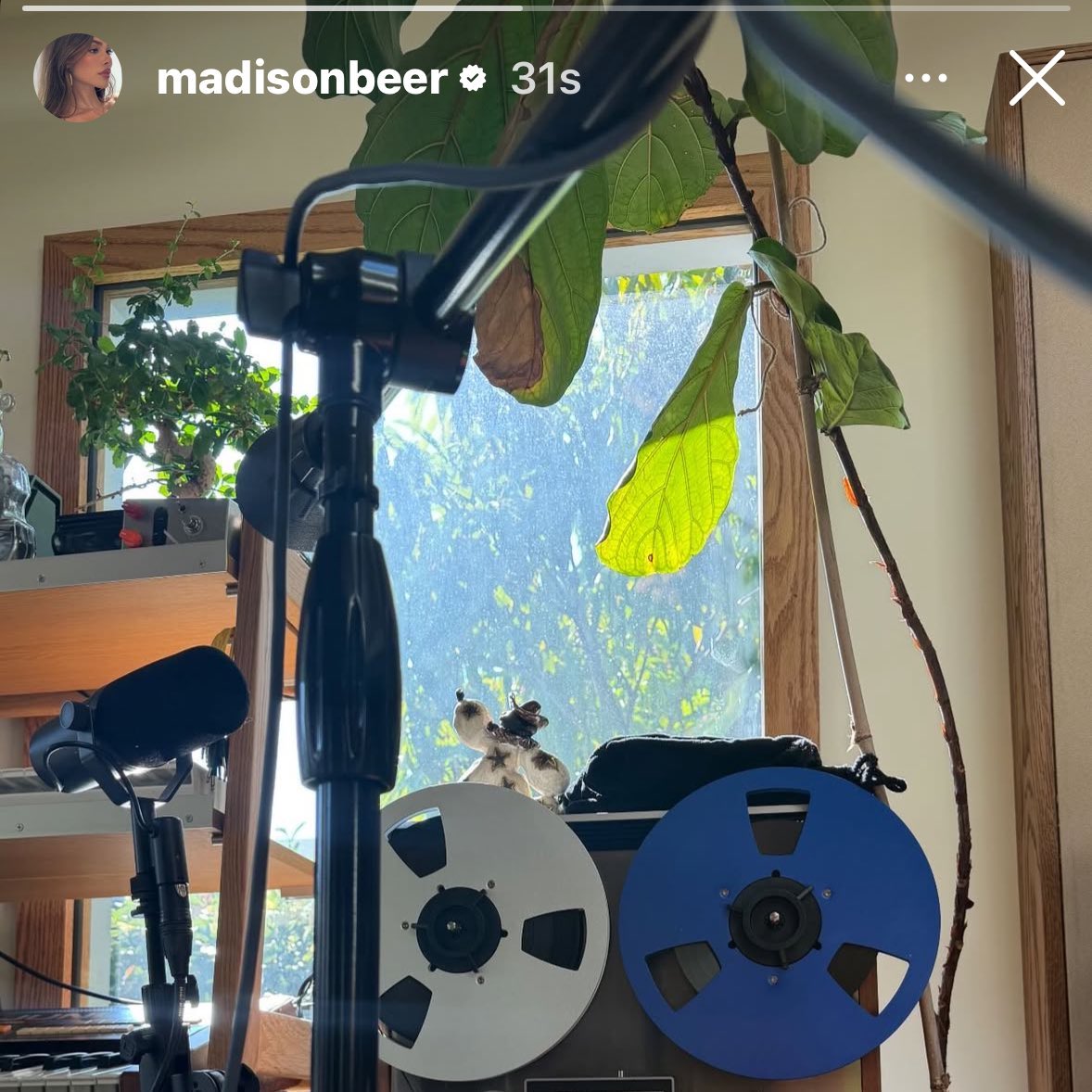 ‎ ؘb‎‎ea tweet media