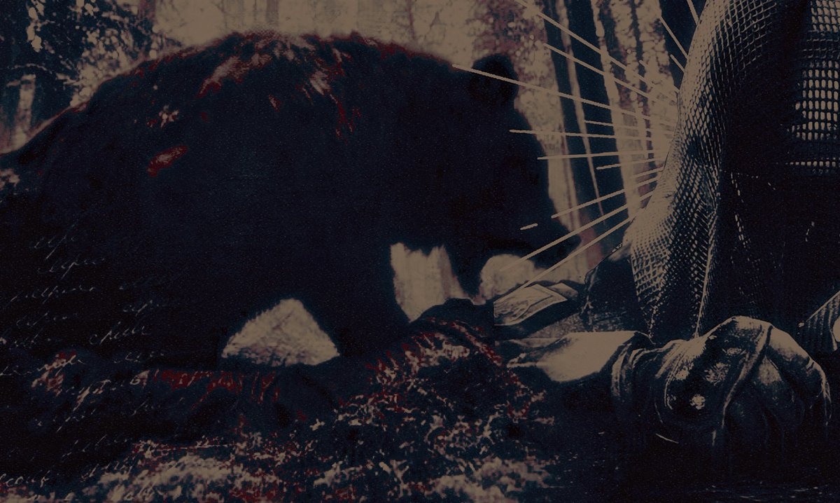 ‍ ‍ ‍ ‍ ᴳ͟ᴿ͟ᴵ͟ᶻ͟ᶻ͟ᴸʸ ╱ 𝐵𝙴𝙰𝚁 ‍.ᐟ ‍ ‍ tweet media