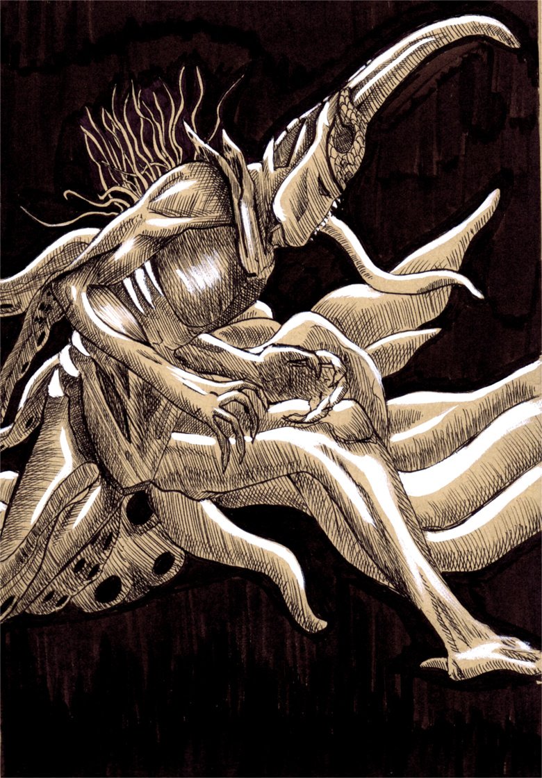 🦉 Nef Arius 🦉 tweet media