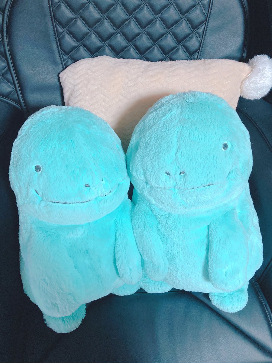 ちゃんち tweet media