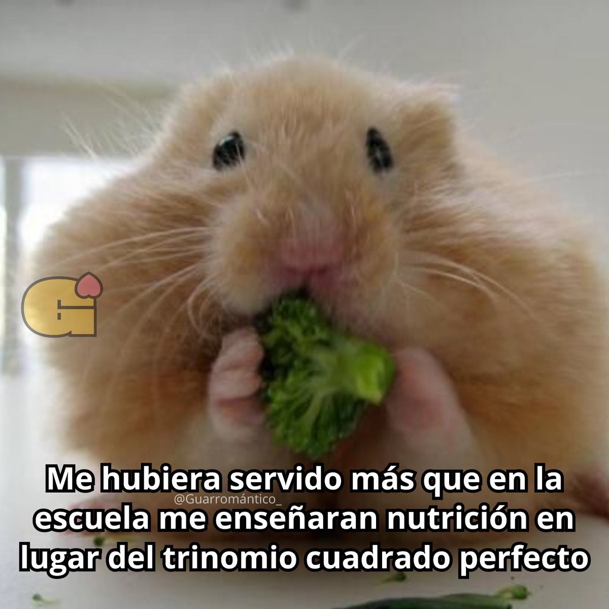 Guarromantico_'s tweet photo. La neta. https://t.co/KvW9LL9Soc