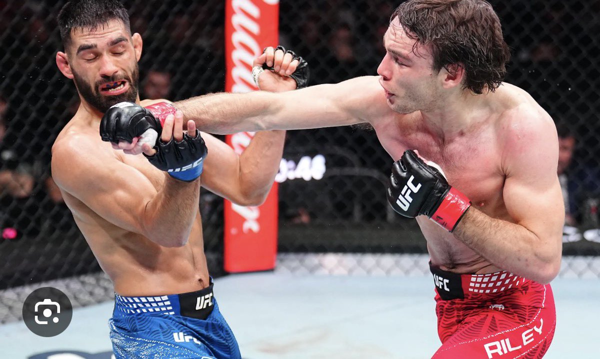 steve jeffs tweet media