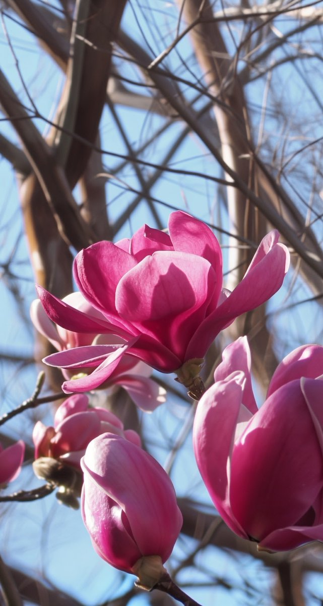 ゆういち 𓈒◌ tweet media