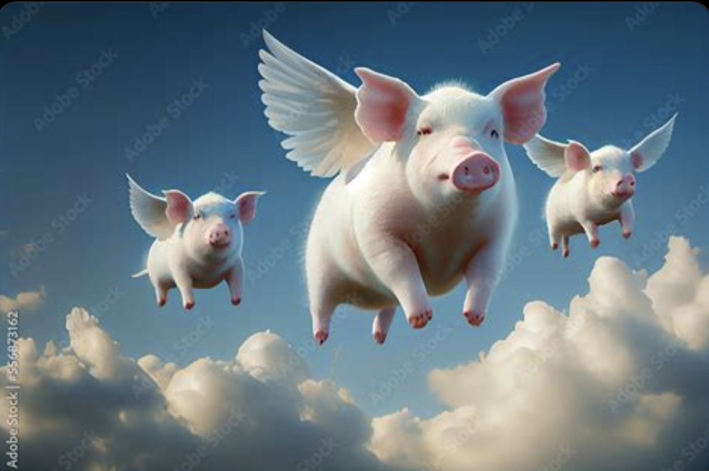 J Barbee tweet media