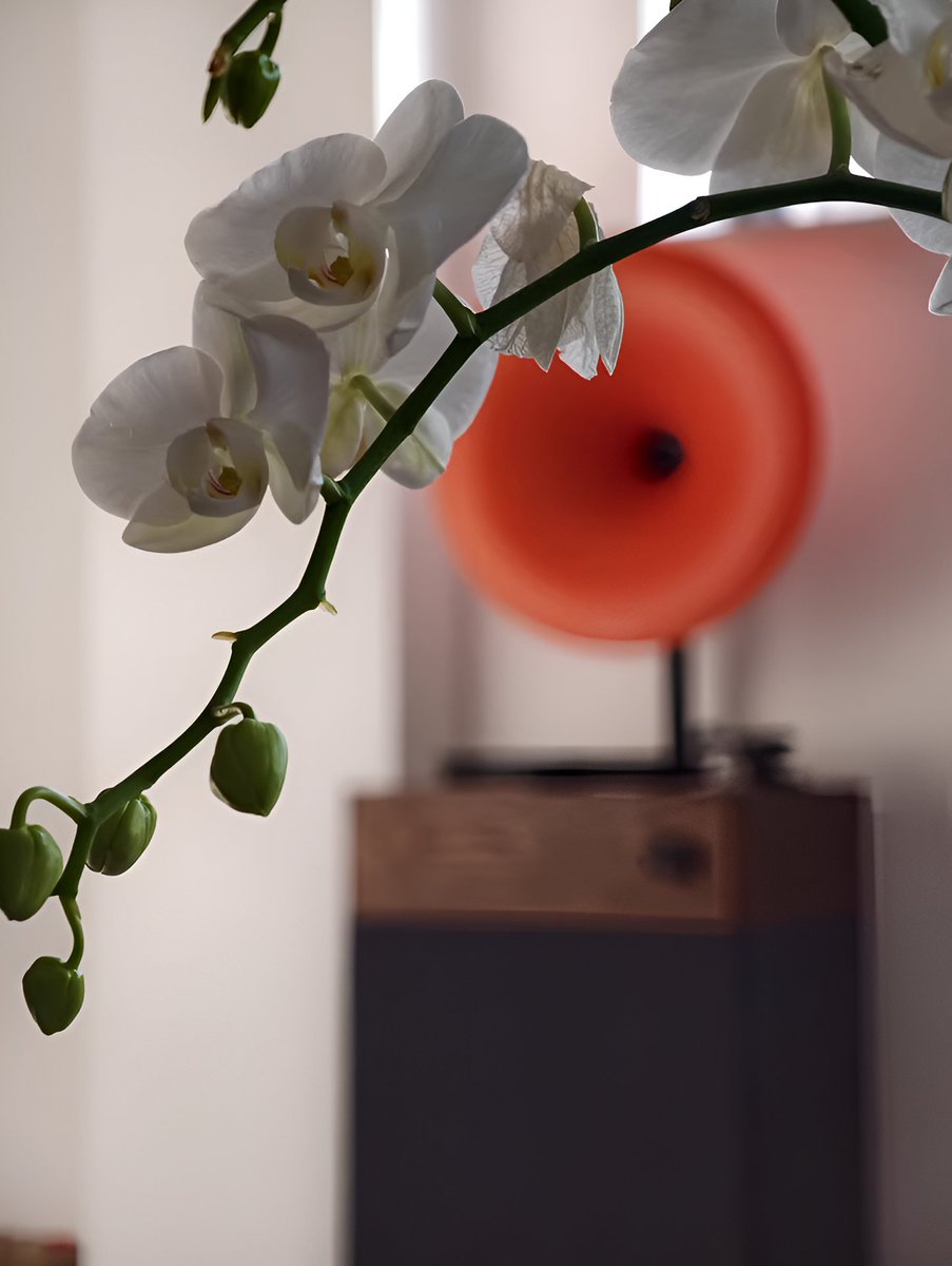 Fennessy_LP's tweet photo. Home feels better with music.
A turntable that brings warmth to every day. ✨🎶

#fennessy #cozyliving #homeatmosphere #vinyllifestyle #musiccorner #interiormood #relaxathome #designlovers #softlife https://t.co/jILe4JSO1X