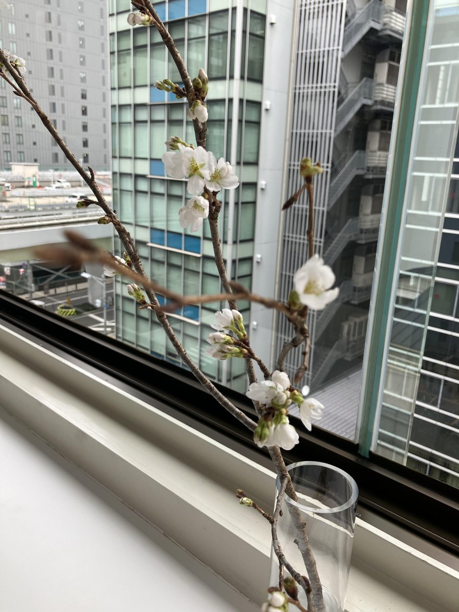 colocoコロコ/神戸市三宮駅シェアオフィス＆コワーキングスペース tweet media