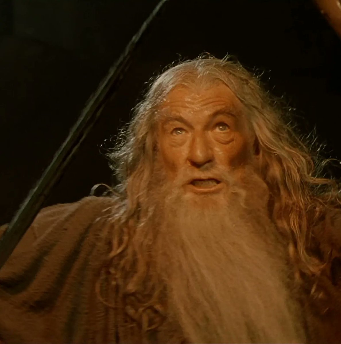 Lord of the Rings Daily tweet media