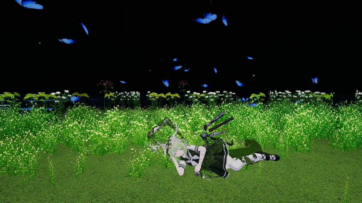 Chiffon Sandwiches tweet media