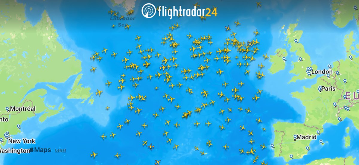 ℂ𝕒𝕟𝕟𝕚𝕓𝕒𝕝 𝕍𝕖𝕘𝕖𝕥𝕒𝕓𝕝𝕖 tweet media