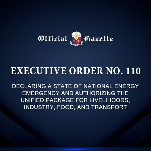 ⋆౨ৎ˚⟡˖Eliza Duterte ⋆౨ৎ˚⟡˖ ࣪艾丽莎·杜特尔特 tweet media