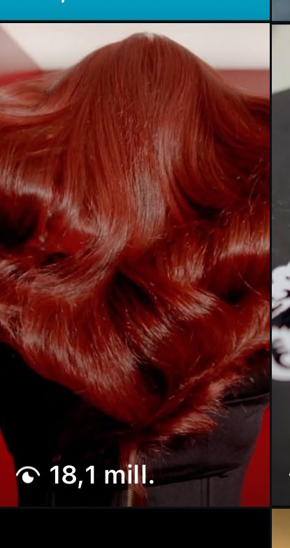 Pino Garrido tweet media