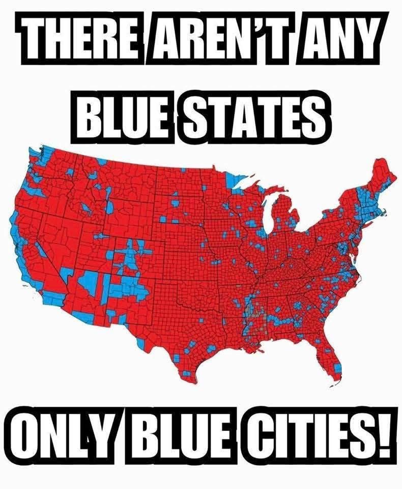 AmericaFirstJD tweet media