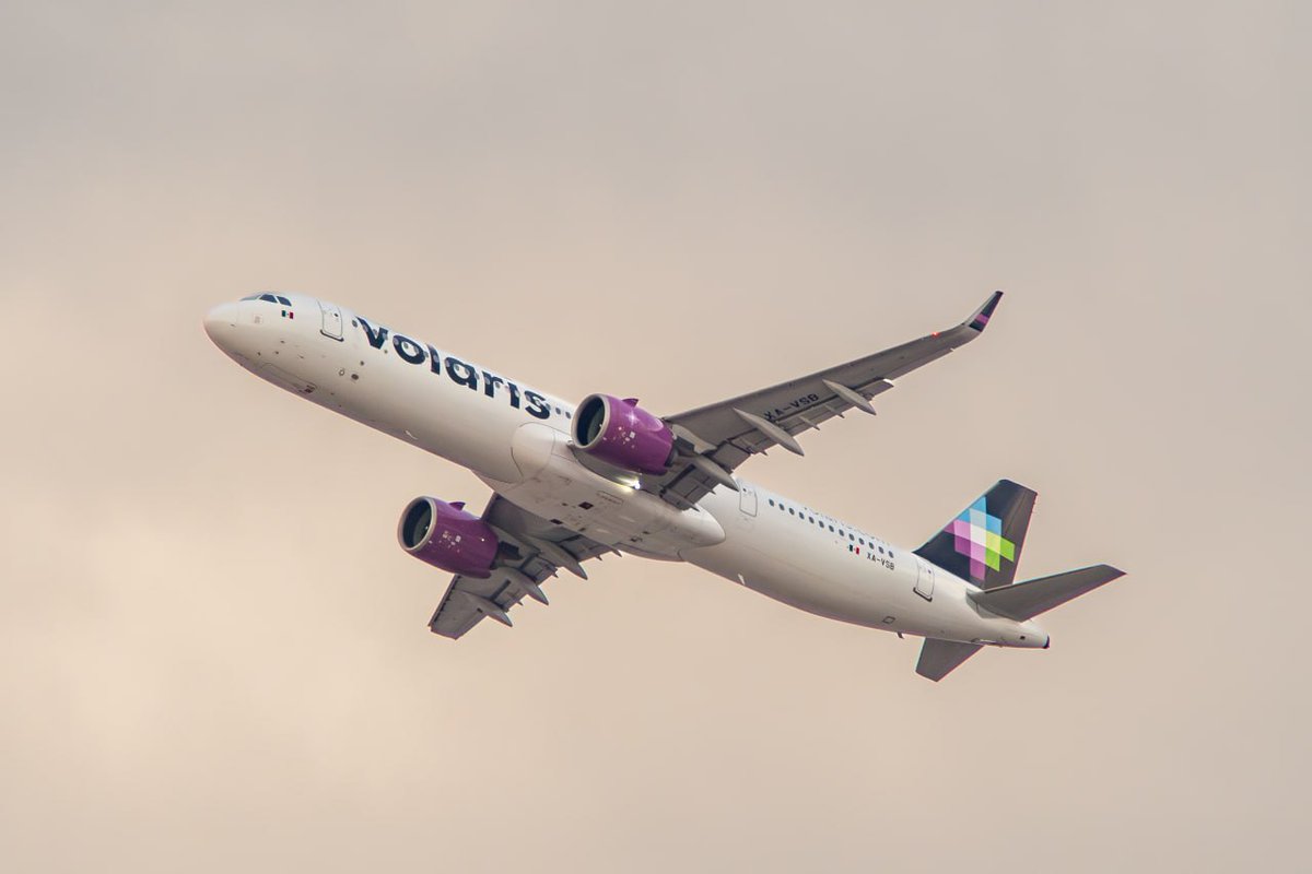 Ascari Husky @FurDu/FWA/AO/AC tweet media