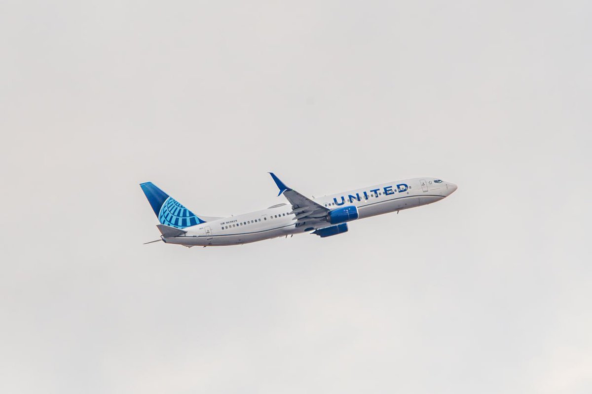 Ascari Husky @FurDu/FWA/AO/AC tweet media