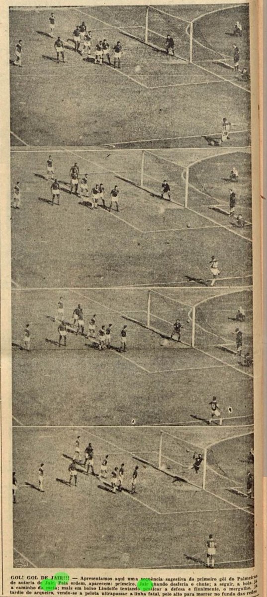 𝑳𝒐𝒓𝒅𝒆 𝑺𝒉𝒂𝒓𝒌🐉 tweet media