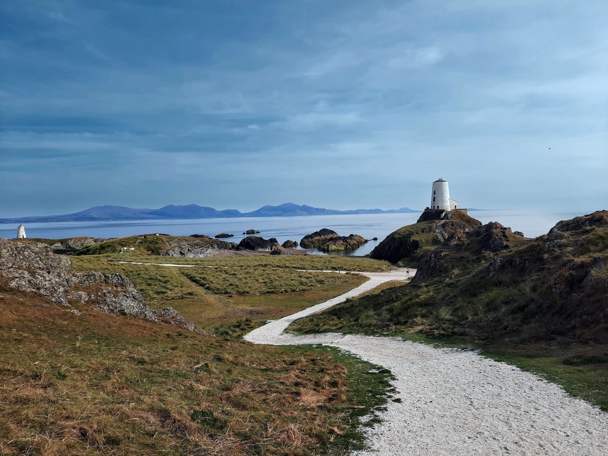 RGP 🇵🇱🏴󠁧󠁢󠁷󠁬󠁳󠁿 tweet media