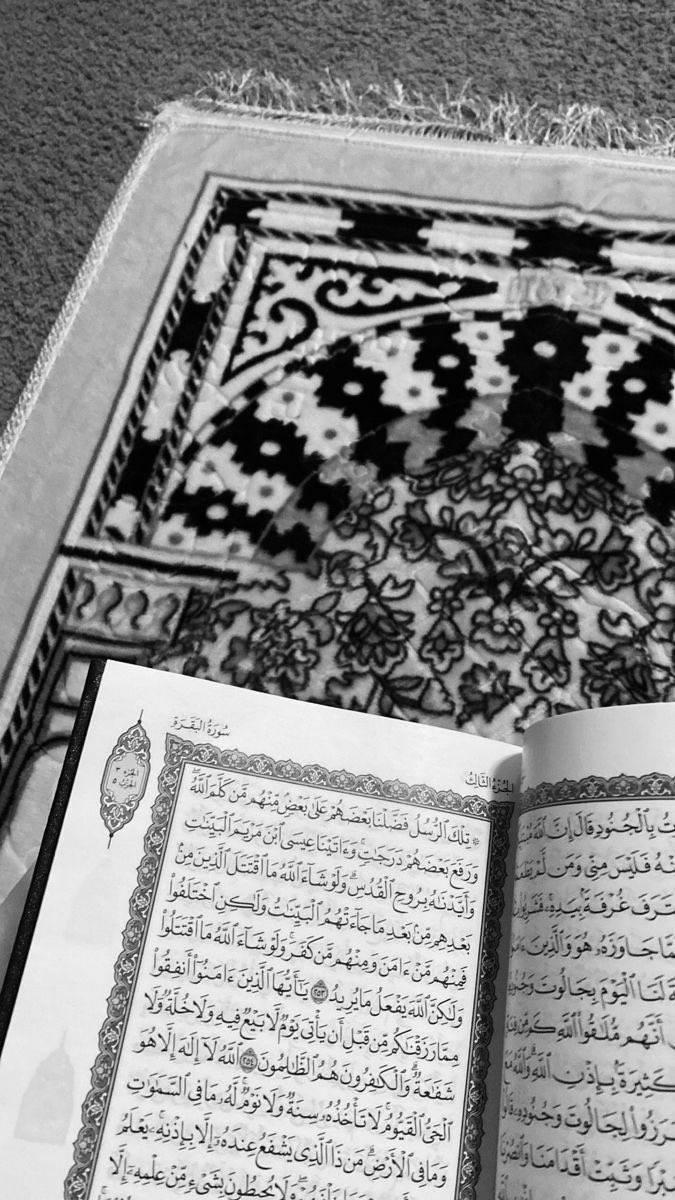 بَآئعٍة آلُِوُرٍدِ tweet media