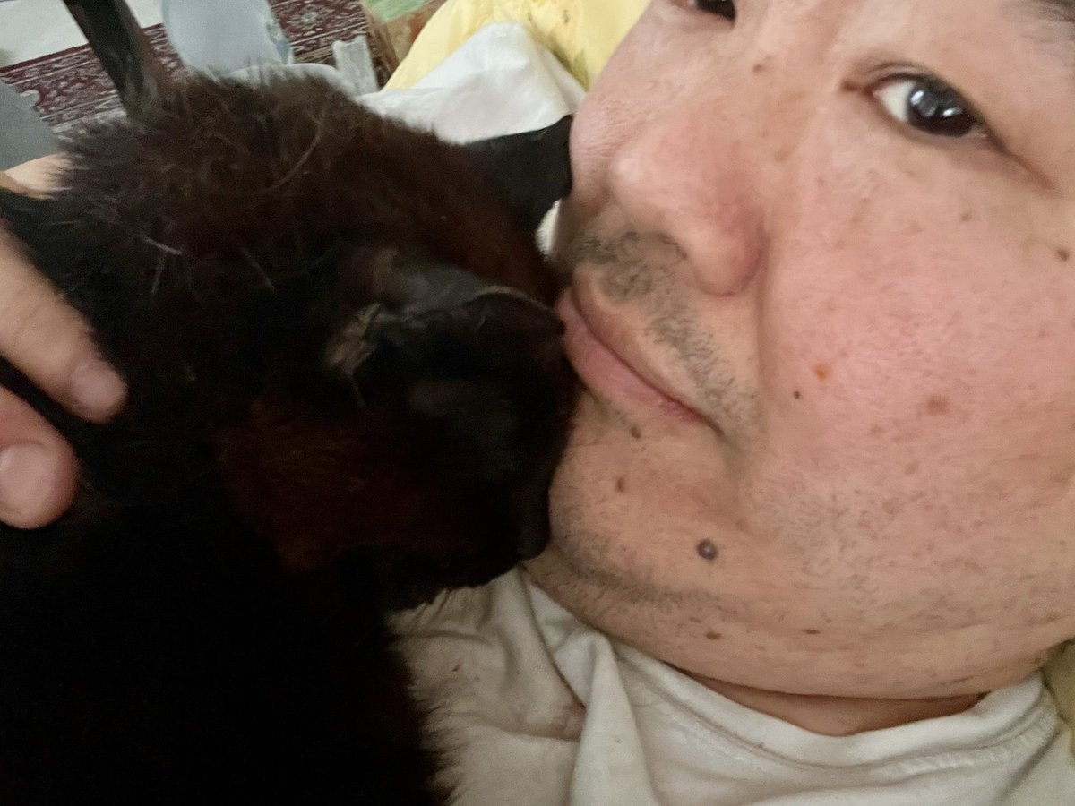 James “jchensor” Chen tweet media