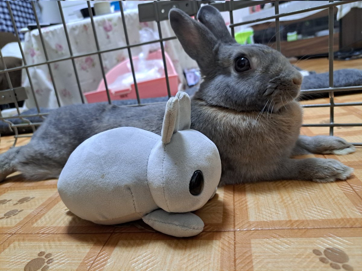 ゆうこ&ぷりん💕12月3日から仕事の為👍多め日月、金休み tweet media