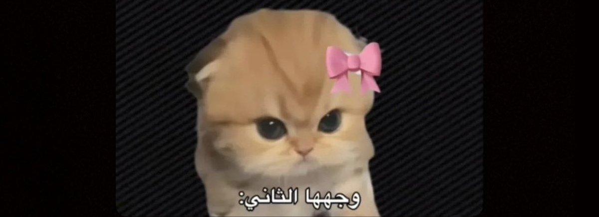 غـزل 💗 tweet media