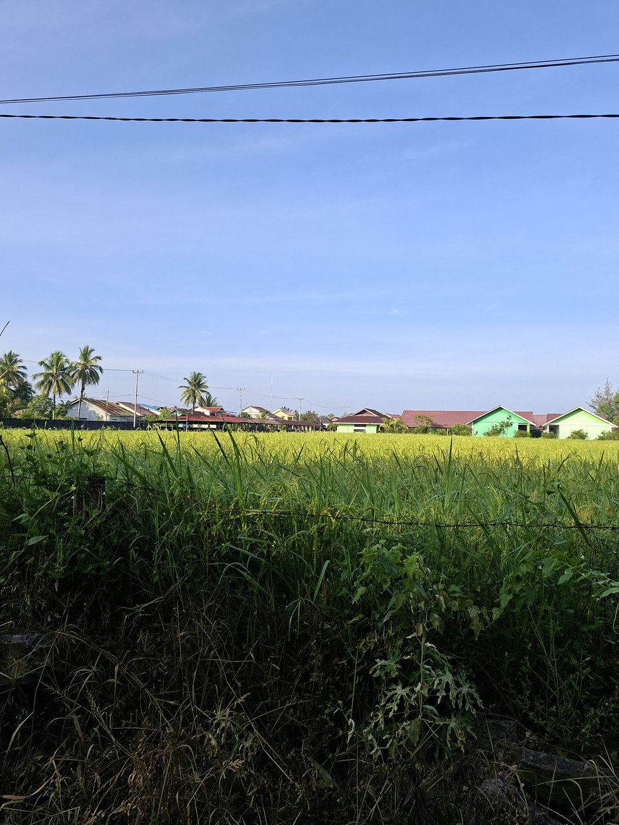 Fuza Firdaus Zhan tweet media