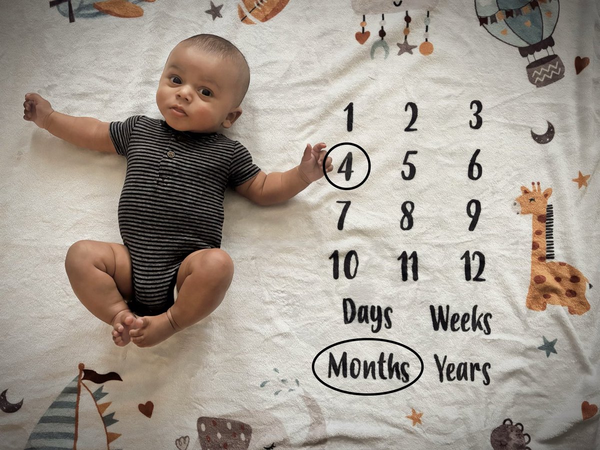 Rayology tweet media