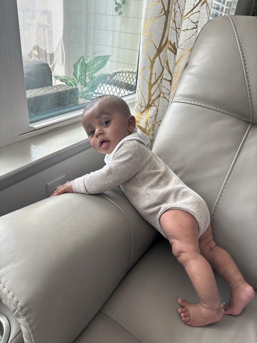 Rayology tweet media