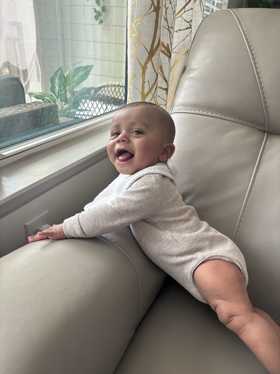 Rayology tweet media