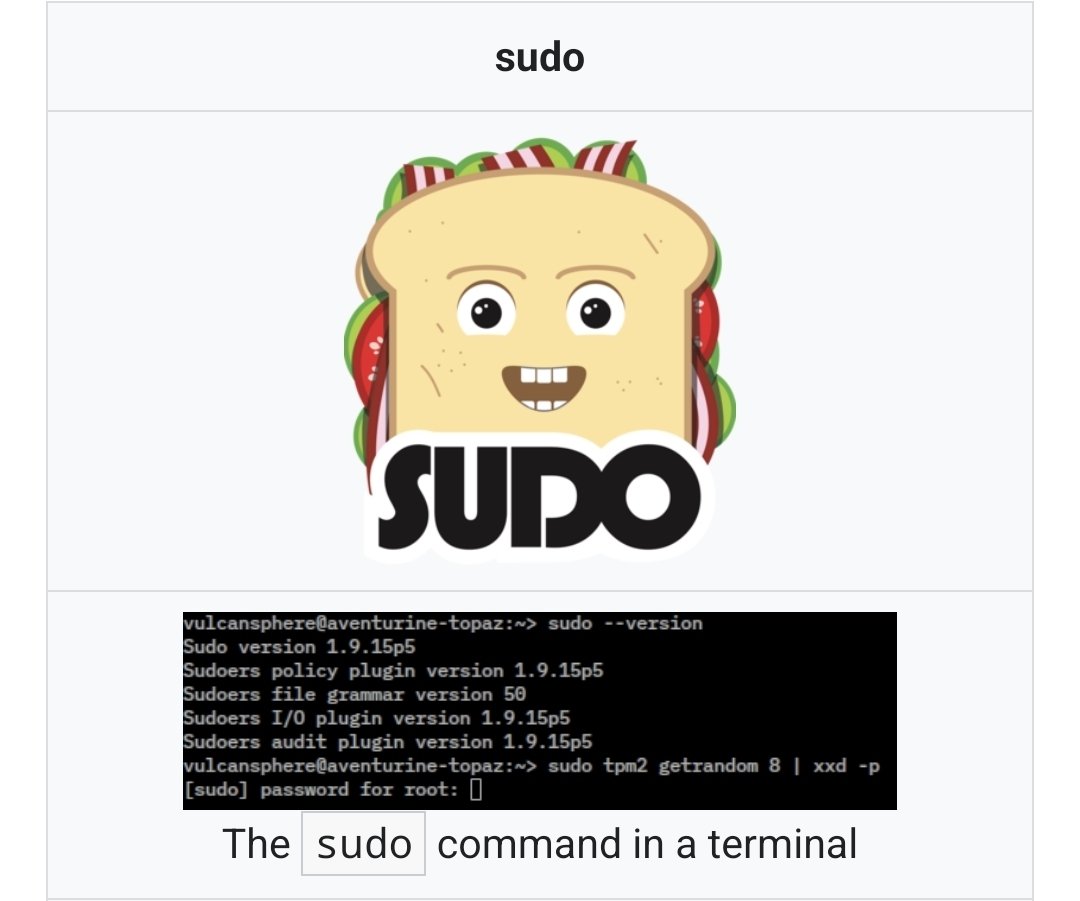 ♀️Lucía🏳️‍⚧️🇸🇻🇲🇽🇵🇸🇨🇩🇸🇩🇺🇦🇾🇪🇦🇲🇧🇩 tweet media