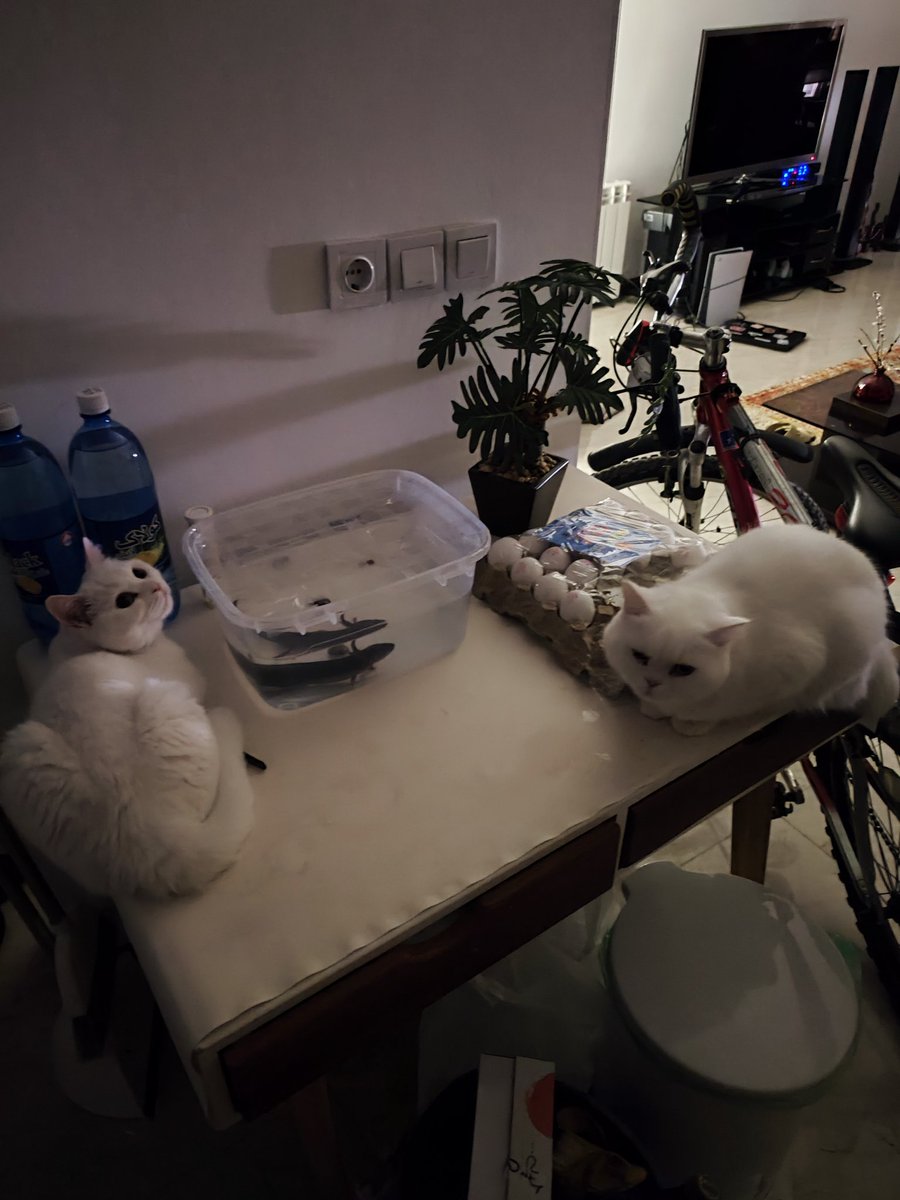 ¥mute¥ tweet media