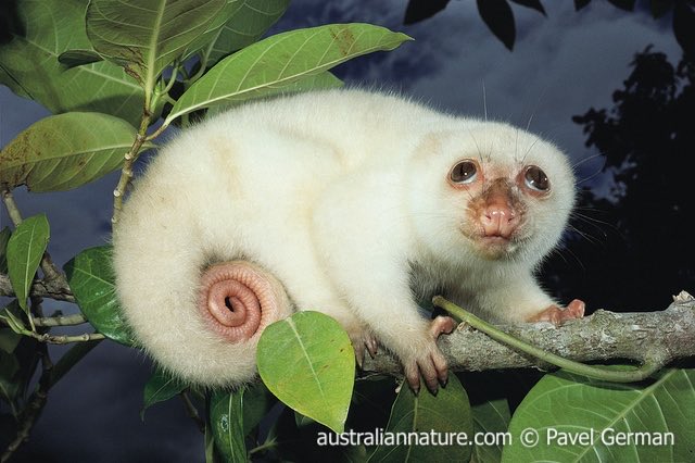 oliver 🛸 tweet media