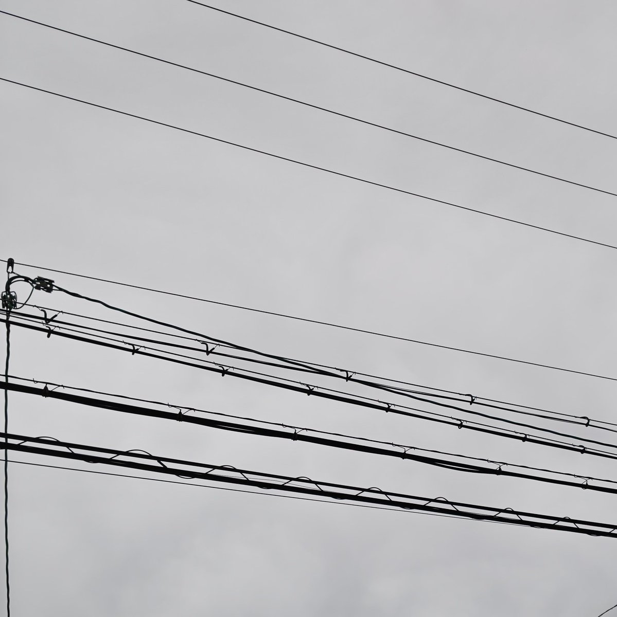 株式会社ガーディテクター【公式】(旧)ギャレットジャパン株式会社 tweet media