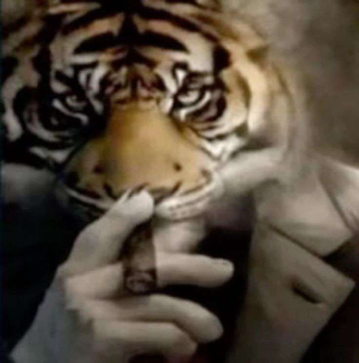 madii⁷☆ ENHYPEN IS SEVEN🧡 tweet media