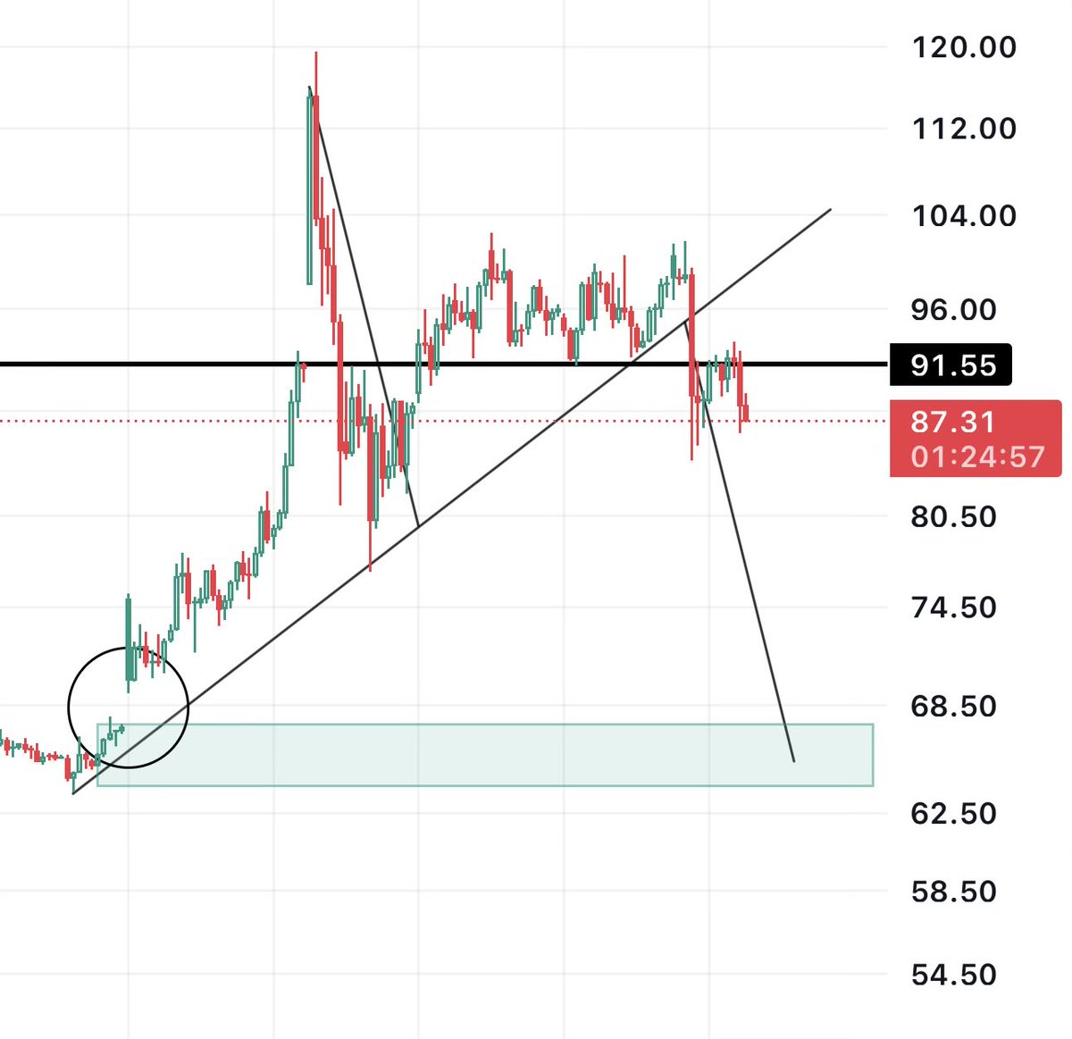Options Pasha tweet media