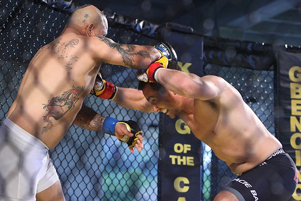 Christian Stein tweet media