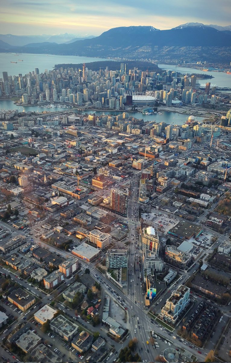 TrafficTrish 🚁 tweet media