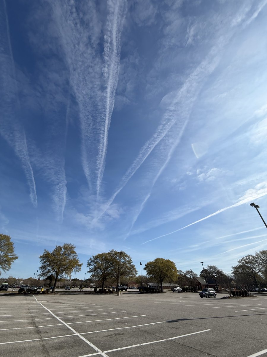 GoodDogBadDog tweet media