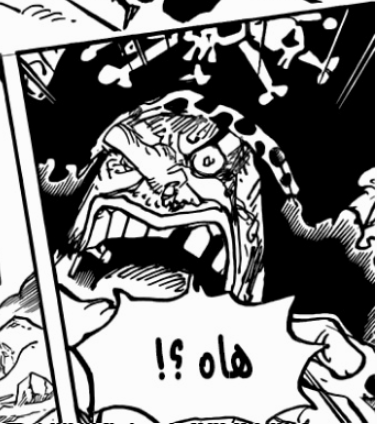 GOL .D. Luffy tweet media