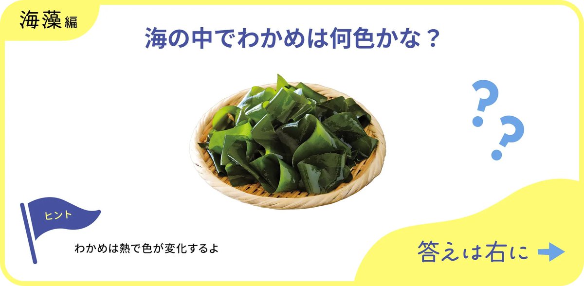 パルシステム【公式】 tweet media