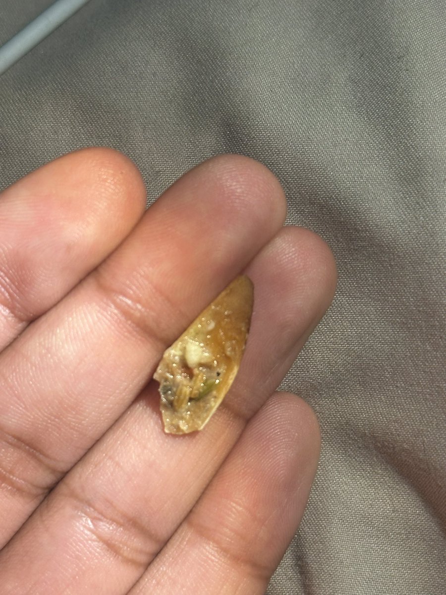 Soleil The Stallion tweet media