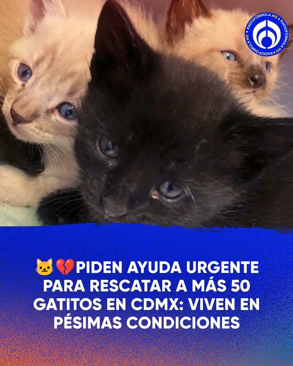 Grupo Fórmula tweet media