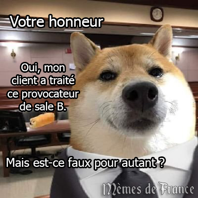 Prunelle 🇨🇵 tweet media