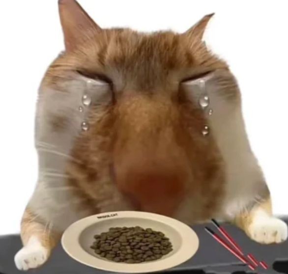 〔ビアンカ〕 tweet media