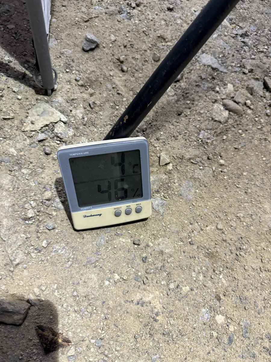 밤나비 tweet media