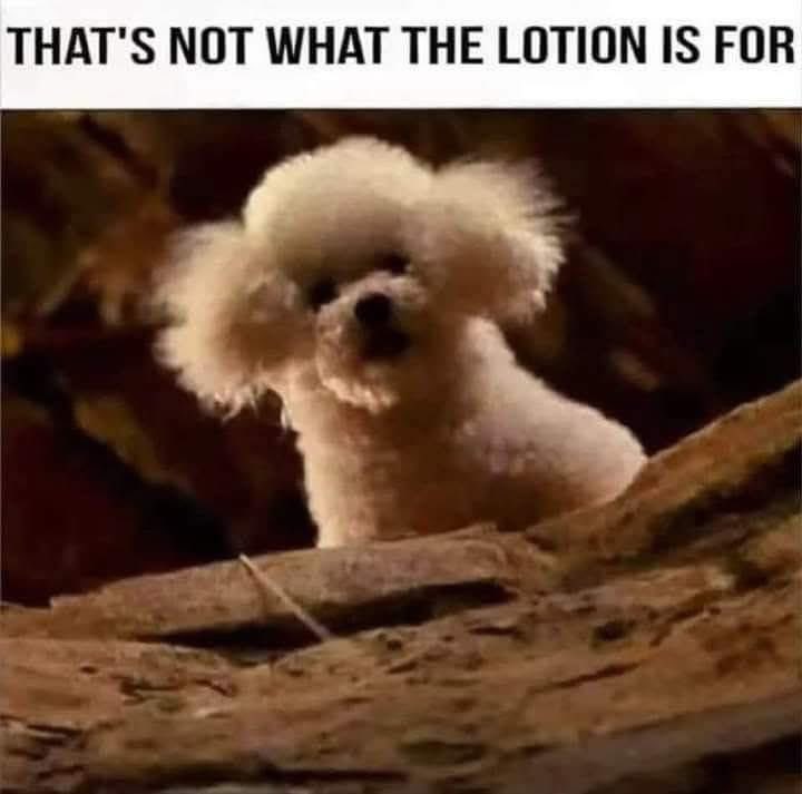 Ƒʉͫcͧкͭιͪηͣ 𝔟к tweet media