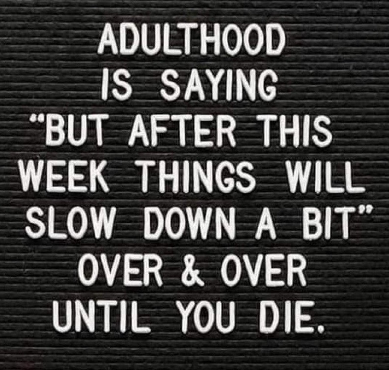 Spill The Memes tweet media