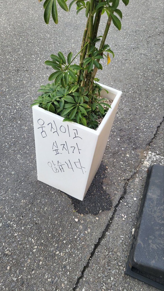 레로리 tweet media